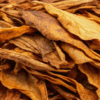 IGET Moon K5000 – Golden Tobacco