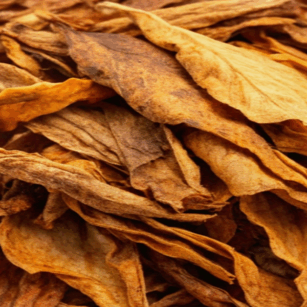 IGET Moon K5000 – Golden Tobacco