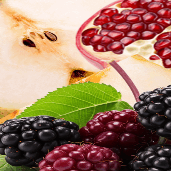 IGET Moon K5000 –Blackberry PomegranateSnow Pear